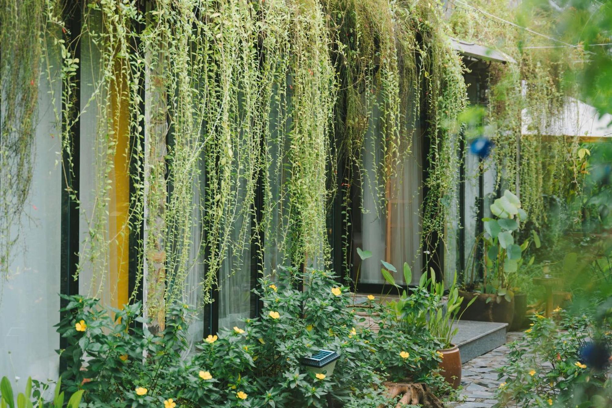 Ben Do Xua Homestay & Coffee Cai Rang Luaran gambar