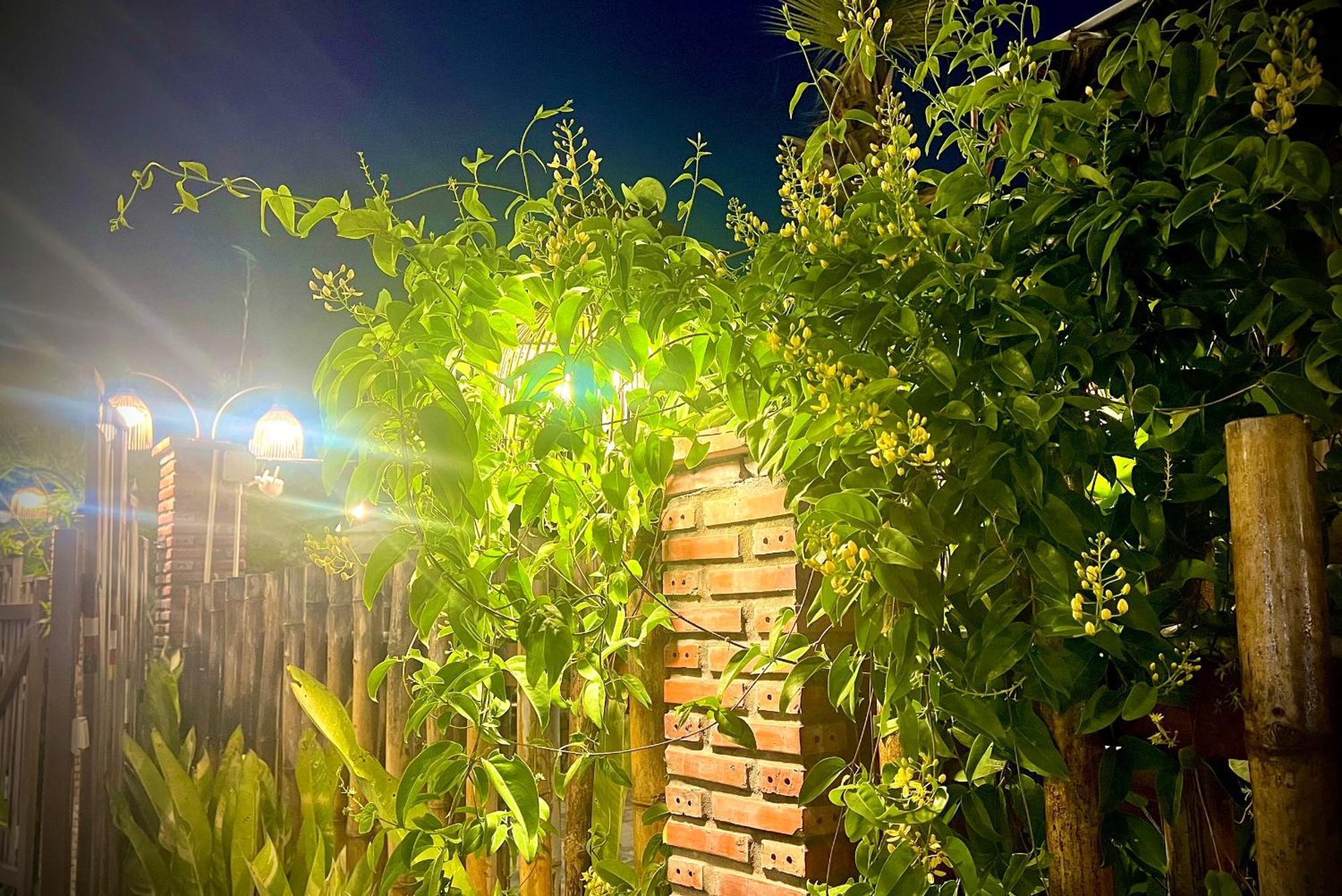 Ben Do Xua Homestay & Coffee Cai Rang Luaran gambar
