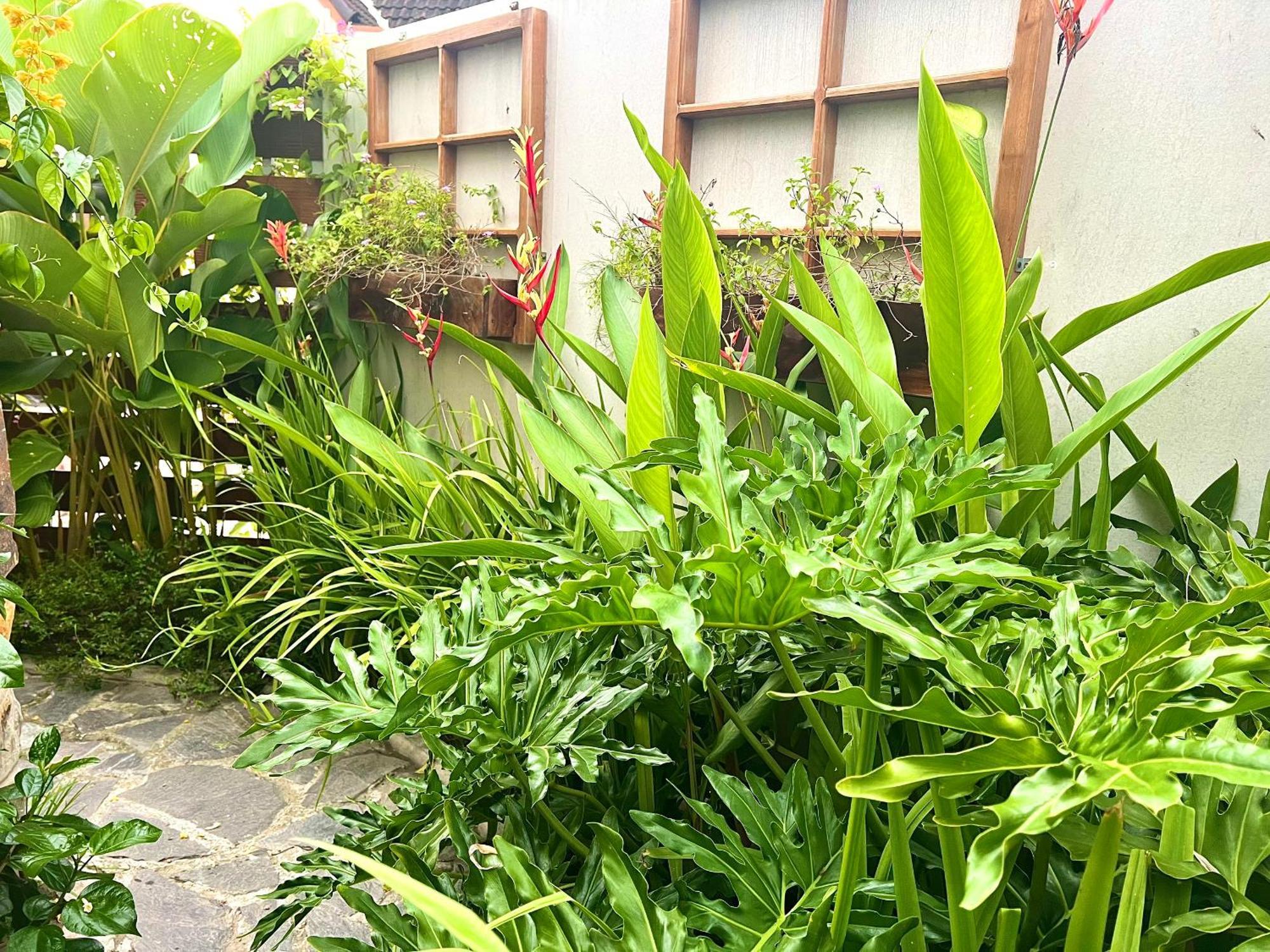 Ben Do Xua Homestay & Coffee Cai Rang Luaran gambar